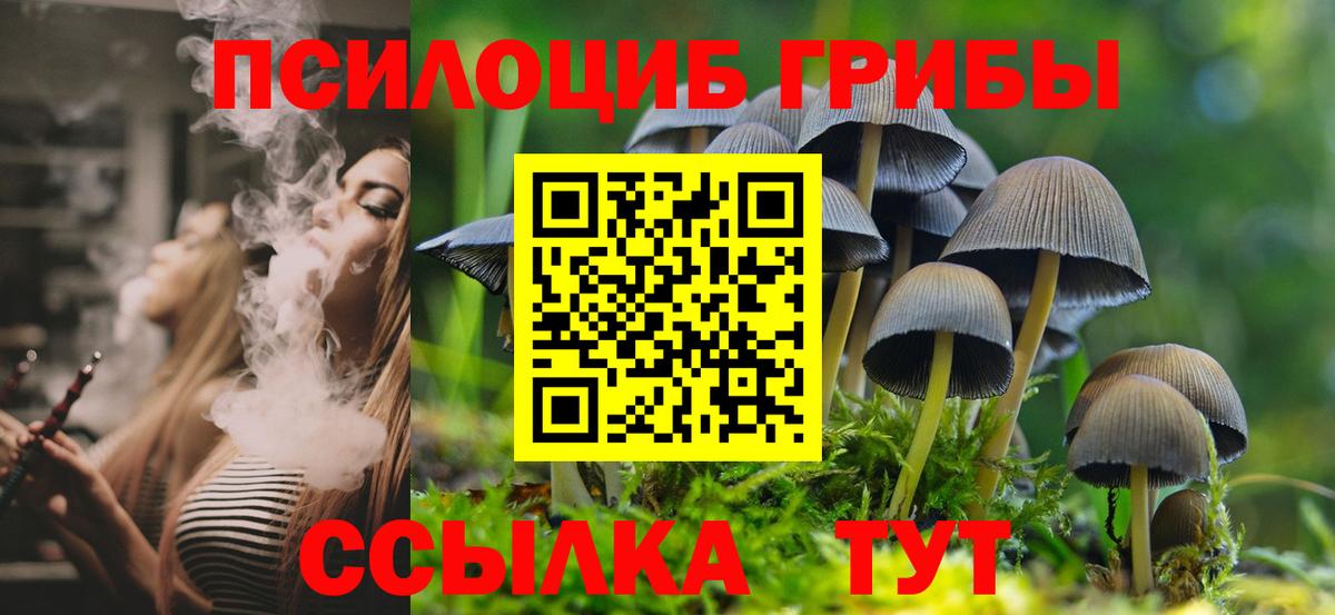 Псилоцибиновые грибы прущие грибы Старая Купавна