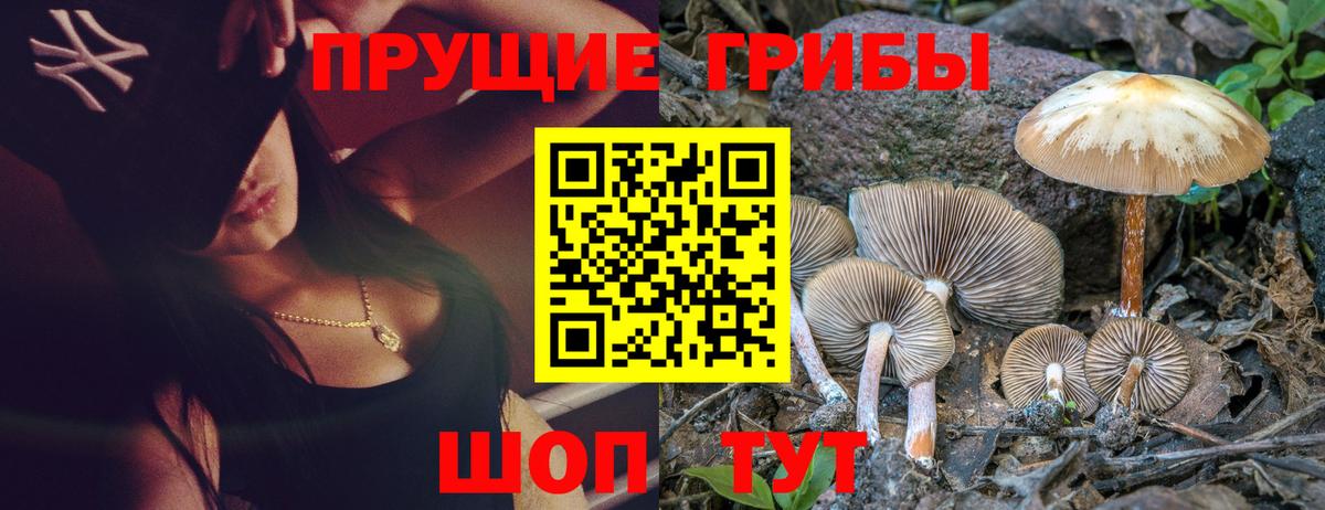 Галлюциногенные грибы ЛСД  Вход с VPN  Старая Купавна  Галлюциногенные грибы Psilocybine cubensis 